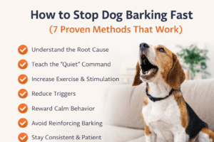 stop-dog-barking